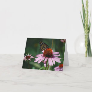 Butterfly on Purple Cone Flower Thank You Card