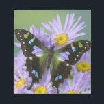 Butterfly on Purple Notepad<br><div class="desc">COPYRIGHT Darrell Gulin / DanitaDelimont.com | US48 DGU0519.jpg | Sammamish Washington Photograph of Butterfly on Flowers,  Graphium weiskei the Purple Spotted Swallowtail Butterfly.</div>