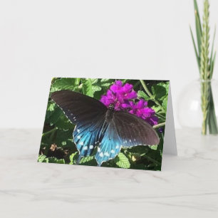 Butterfly on Purple Verbena Greeting Card