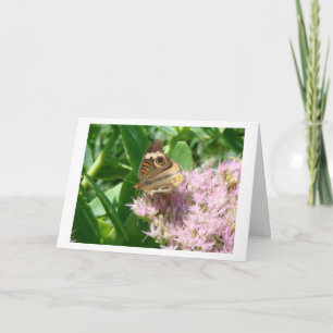 Butterfly On Sedum, Sparkle & Light Thank You Card