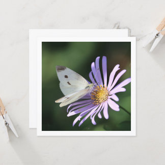 Butterfly on summer flower flat Greeting Card