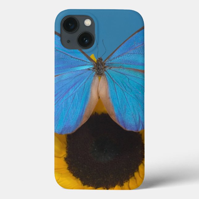 Butterfly on Sunflower Case-Mate iPhone Case (Back)