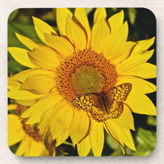 Butterfly on Sunflower Coaster