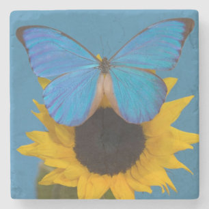 Butterfly on Sunflower Stone Coaster