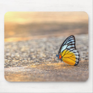 Butterfly on The Beach Mouse Pad