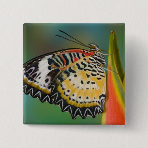 Butterfly on Tropical Flower 15 Cm Square Badge