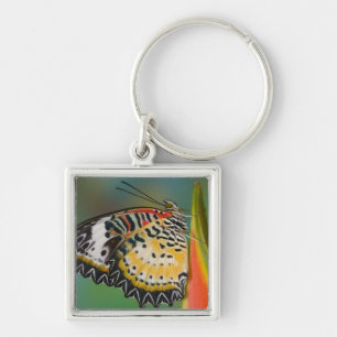 Butterfly on Tropical Flower Key Ring