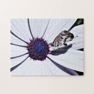 Butterfly on White Daisy   Challenging Jigsaw Puzzle
