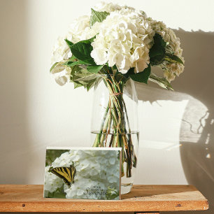 Butterfly on White Phlox Floral Sympathy Card