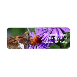 Butterfly On Wild Purple Aster Flower Address Return Address Label