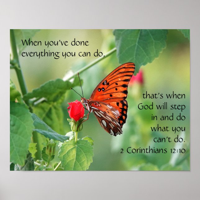 Butterfly on Wildfllowers, Scripture Verse Poster (Front)