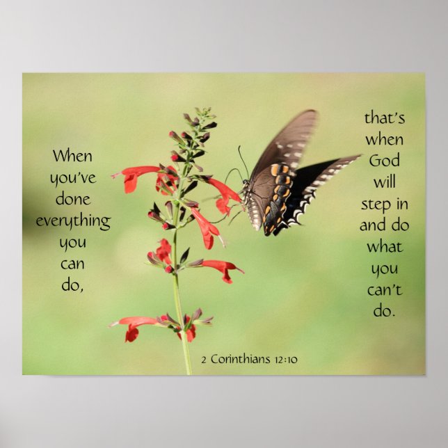 Butterfly on Wildfllowers, Scripture Verse Poster (Front)