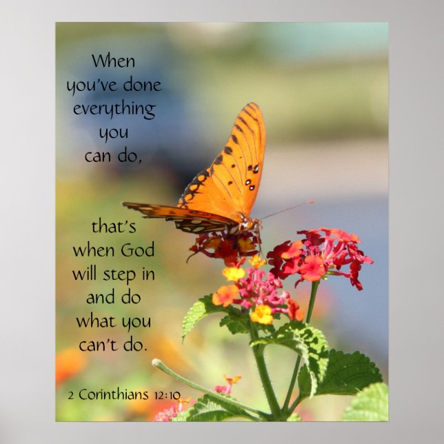 Butterfly on Wildfllowers, Scripture Verse Poster (Front)
