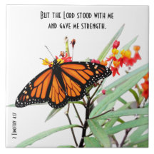 Butterfly on Wildflower w/ Scripture Verse