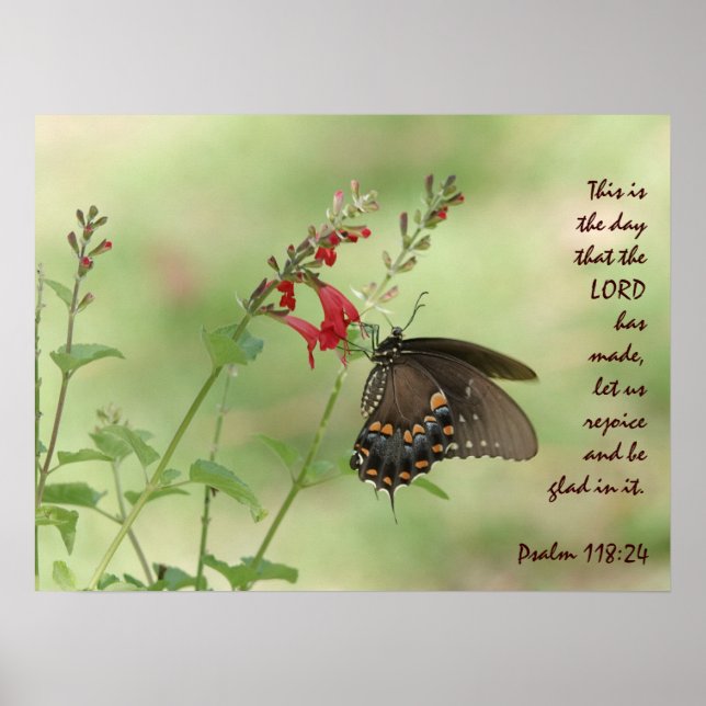 Butterfly on Wildflower, with Psalm 118:24 Poster (Front)