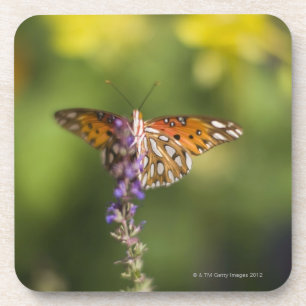 Butterfly on wildflowers coaster