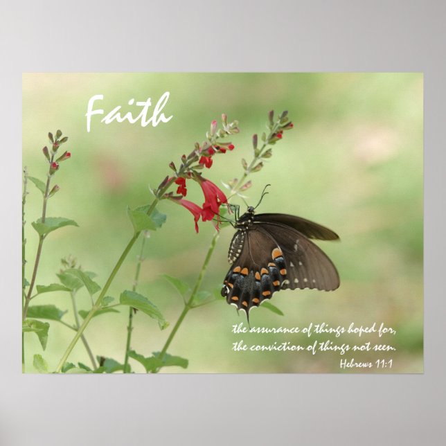 Butterfly on Wildflowers, Scripture Verse on Faith Poster (Front)