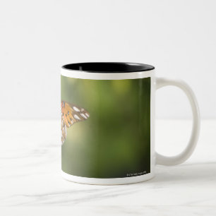 Butterfly on wildflowers Two-Tone coffee mug