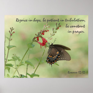 Butterfly on Wildflowers, Verse Romans 12:12  Poster