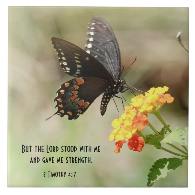 Butterfly on Wildflowers w/ Scripture Verse Ceramic Tile (Front)