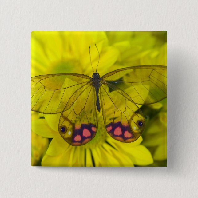 Butterfly on Yellow 15 Cm Square Badge (Front)
