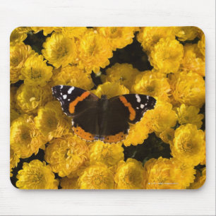 Butterfly on yellow asters mouse pad