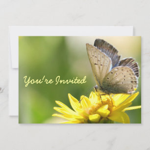 Butterfly on Yellow Flower Bridal Shower Invite