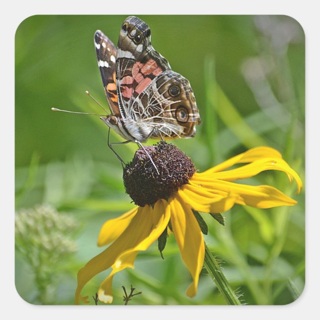 Butterfly On Yellow Flower Sticker (Front)