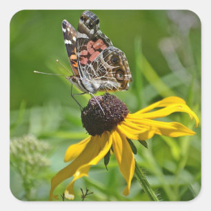 Butterfly On Yellow Flower Sticker