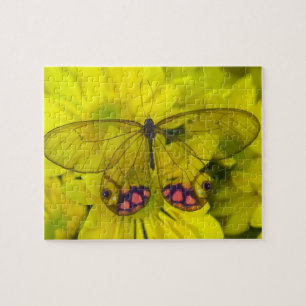 Butterfly on Yellow Jigsaw Puzzle