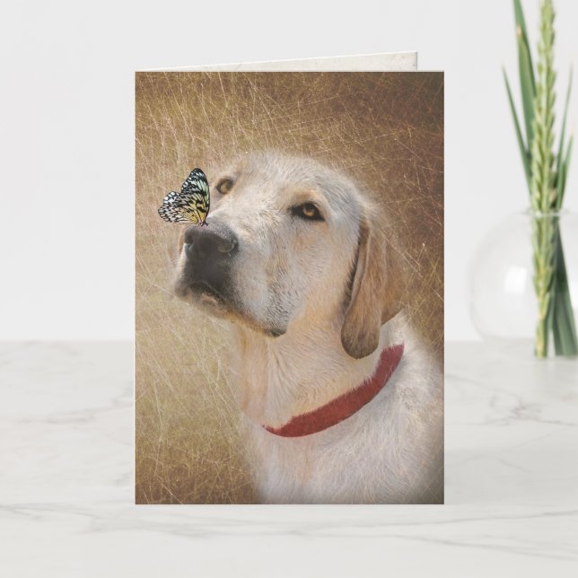 butterfly on yellow Labrador retriever's nose Card (Front)