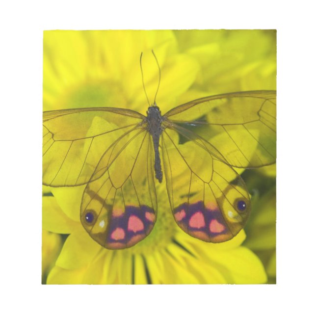 Butterfly on Yellow Notepad (Front)