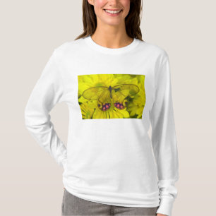 Butterfly on Yellow T-Shirt