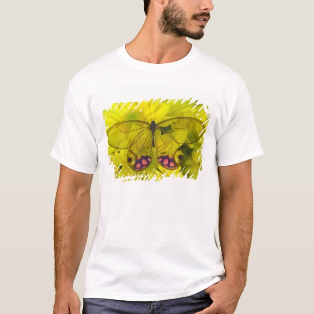 Butterfly on Yellow T-Shirt (Front)