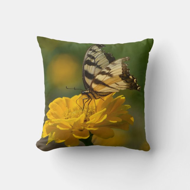 Butterfly on Zinnia Pillow (Front)