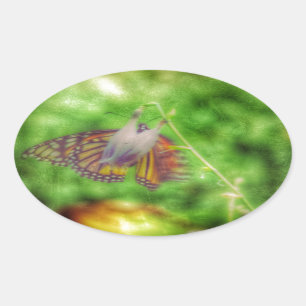 Butterfly Oval Sticker