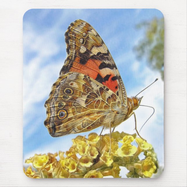 Butterfly Painted Lady Mouse Pad (Front)