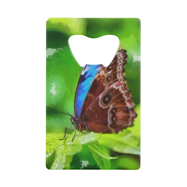 Butterfly painting (Front)