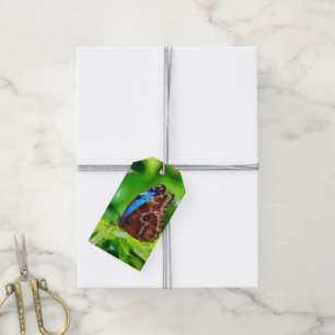 Butterfly painting gift tags