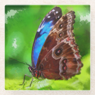 Butterfly painting glass coaster
