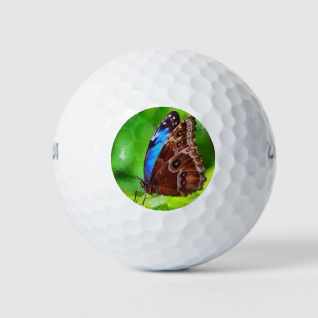 Butterfly painting golf balls (Front)