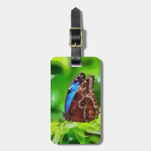 Butterfly painting luggage tag