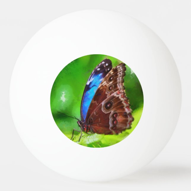 Butterfly painting ping pong ball (Back)