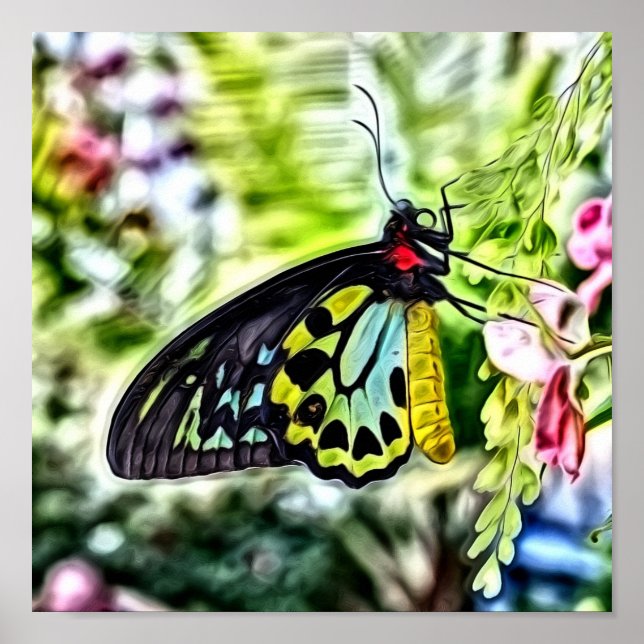 Butterfly Painting Poster (Front)
