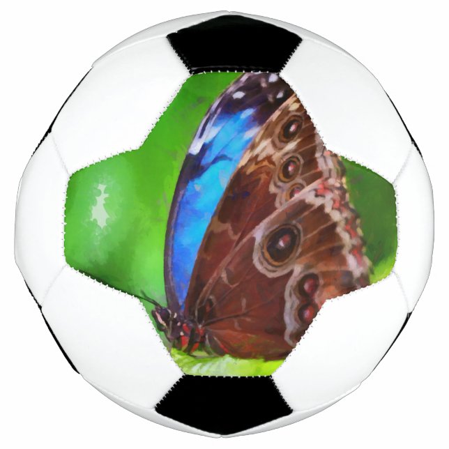 Butterfly painting soccer ball (Front)