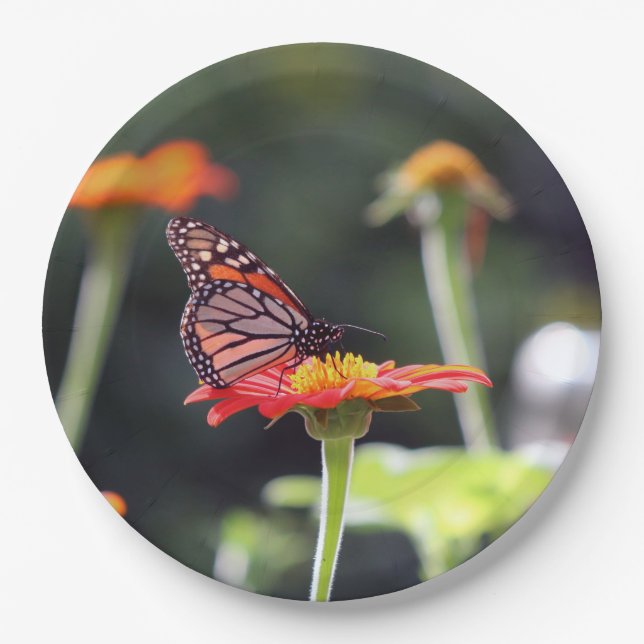 Butterfly Paper Plates (Front)