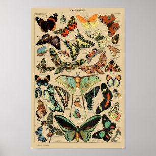 Butterfly (Papillons) Vintage French Poster