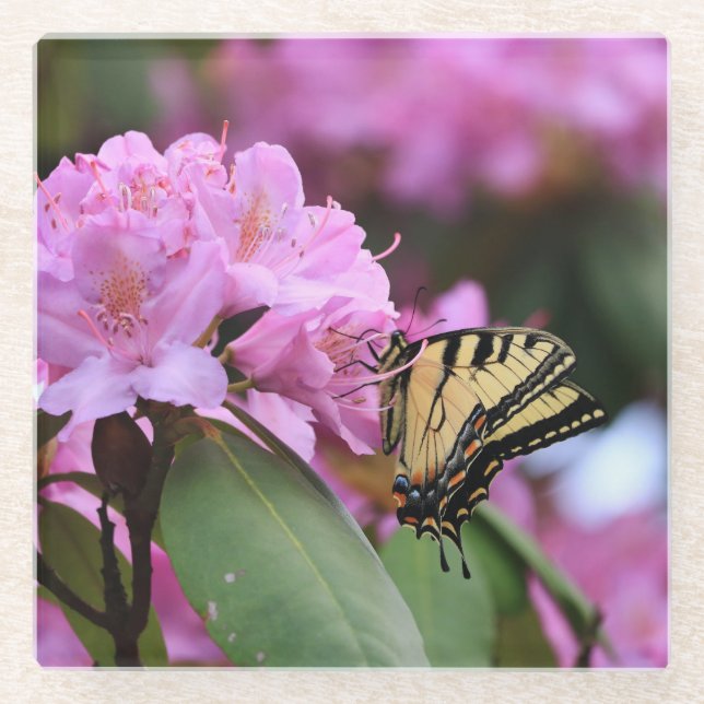 Butterfly Paradise Glass Coaster (Front)