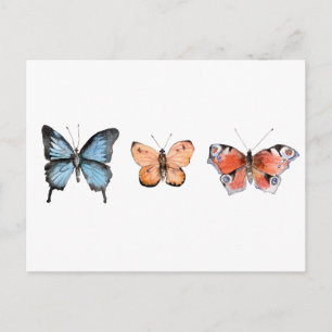 Butterfly Pattern Postcard