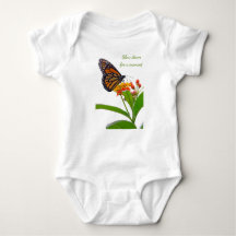 Butterfly Pause